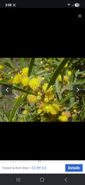 Untitled May28_14:22:50